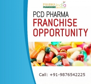 Several Advantages of Owning a Pharma Company Franchise